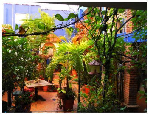 Suitel 522 Eco Hostel Mazatlán Buitenkant foto
