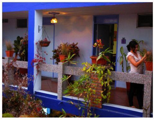 Suitel 522 Eco Hostel Mazatlán Buitenkant foto